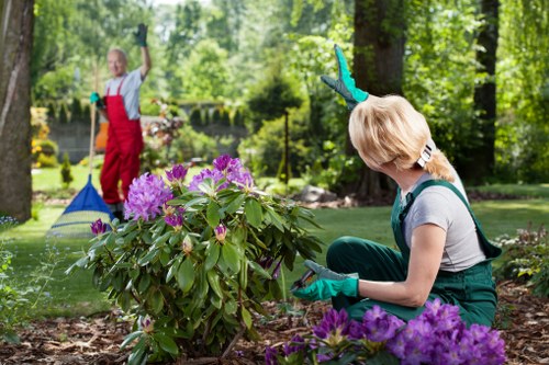 Website cookie policy introduction for Landscaping Southfields