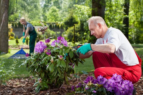 Local soft landscaping work improving a Southfields outdoor space