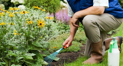 Safe and professional landscaping operations in Southfields