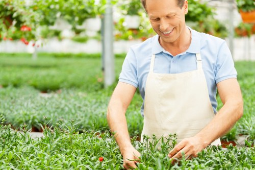 Professional soft landscaping for a residential garden in Southfields