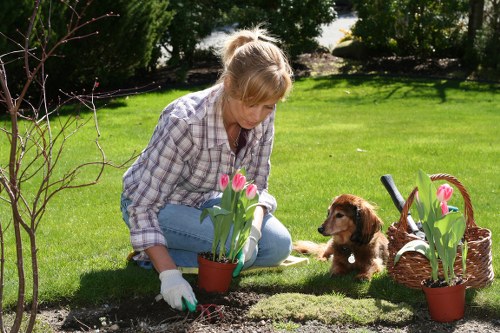 Worker rights and modern slavery awareness in landscaping operations