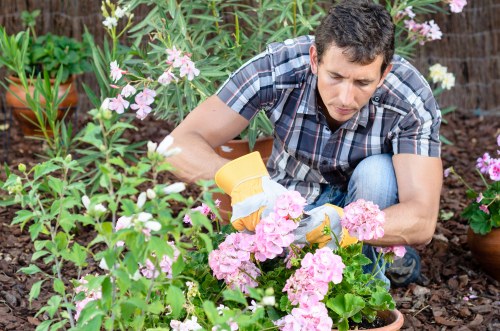 Sustainable landscaping recycling and reuse in Southfields